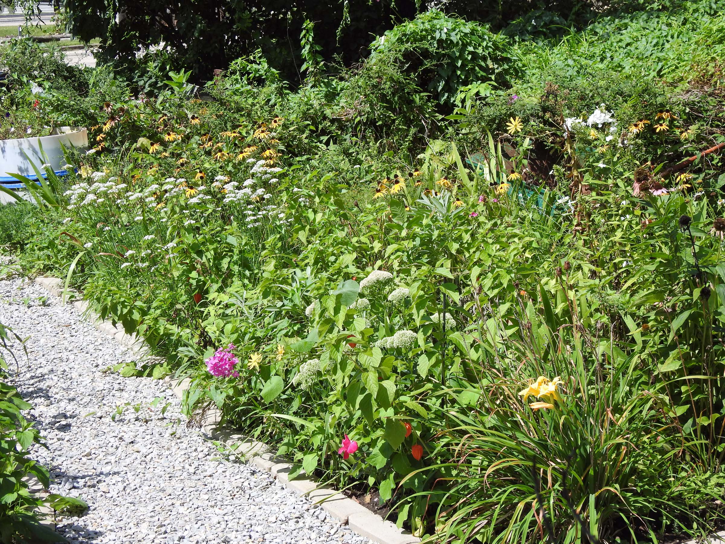 29 Aug Pathway through the garden