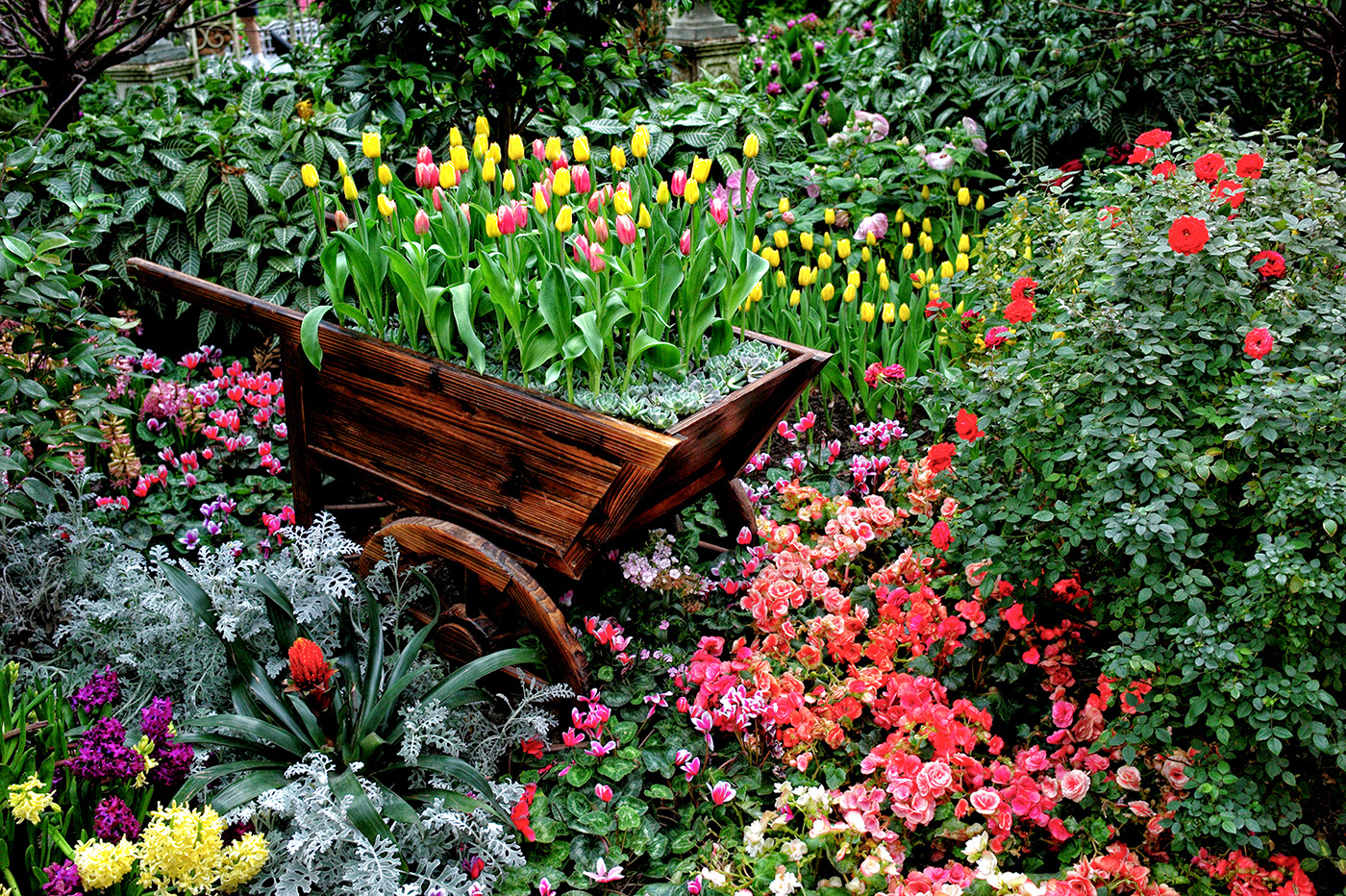 Tulipmania at Singapores Gardens by the Bay