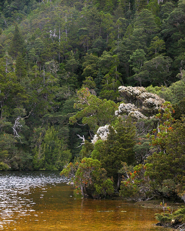 Dove Lake