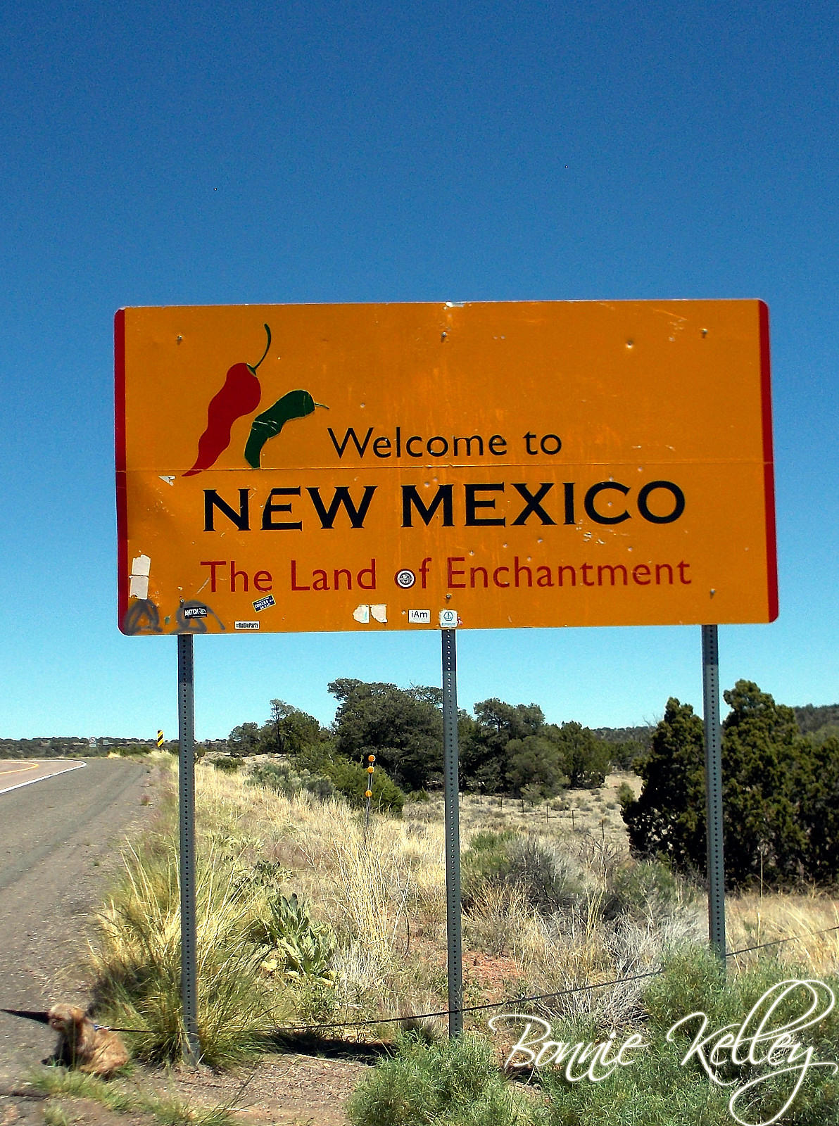 Look Im in New Mexico!