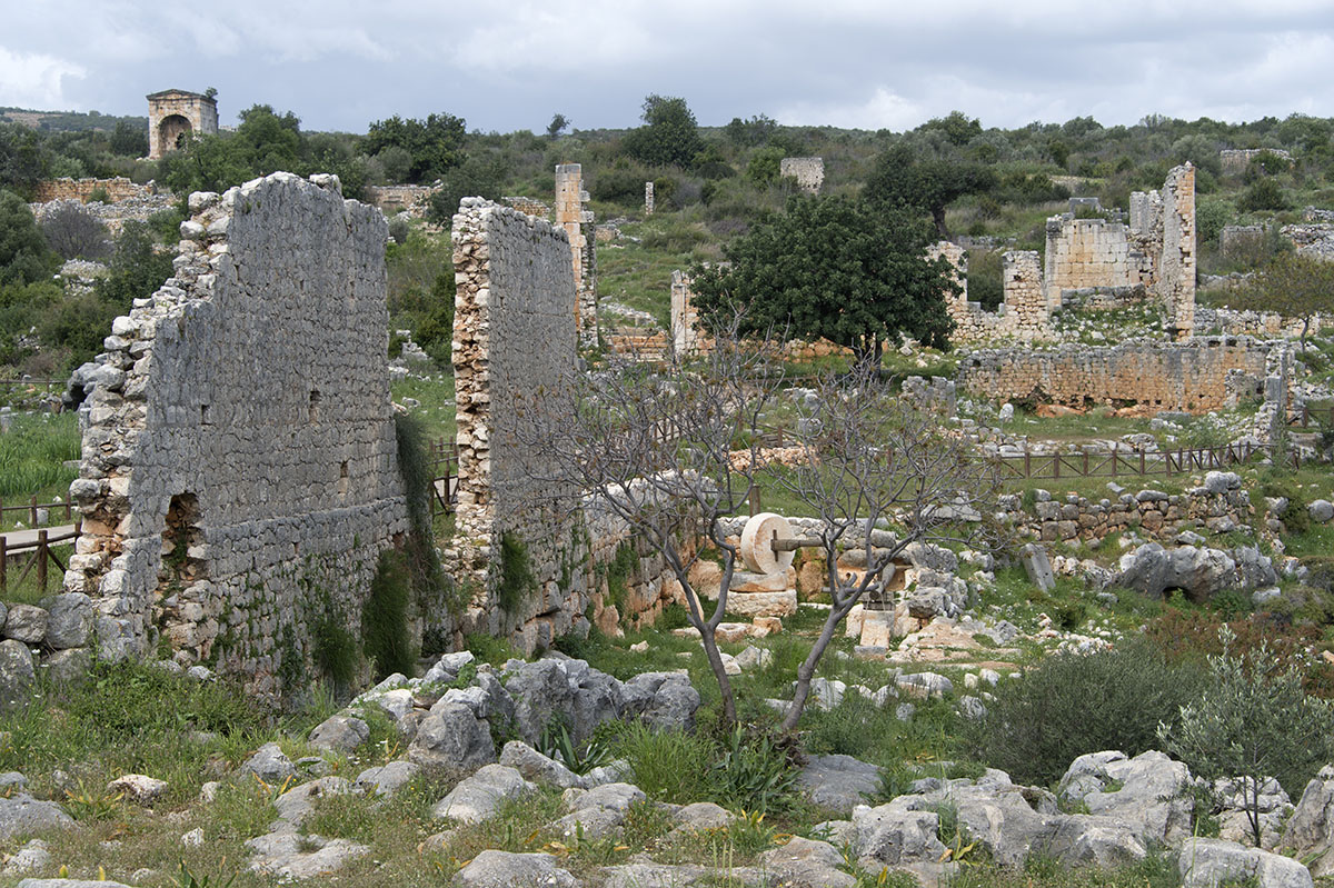 Kanlidivane olive oil factory march 2018 5562.jpg