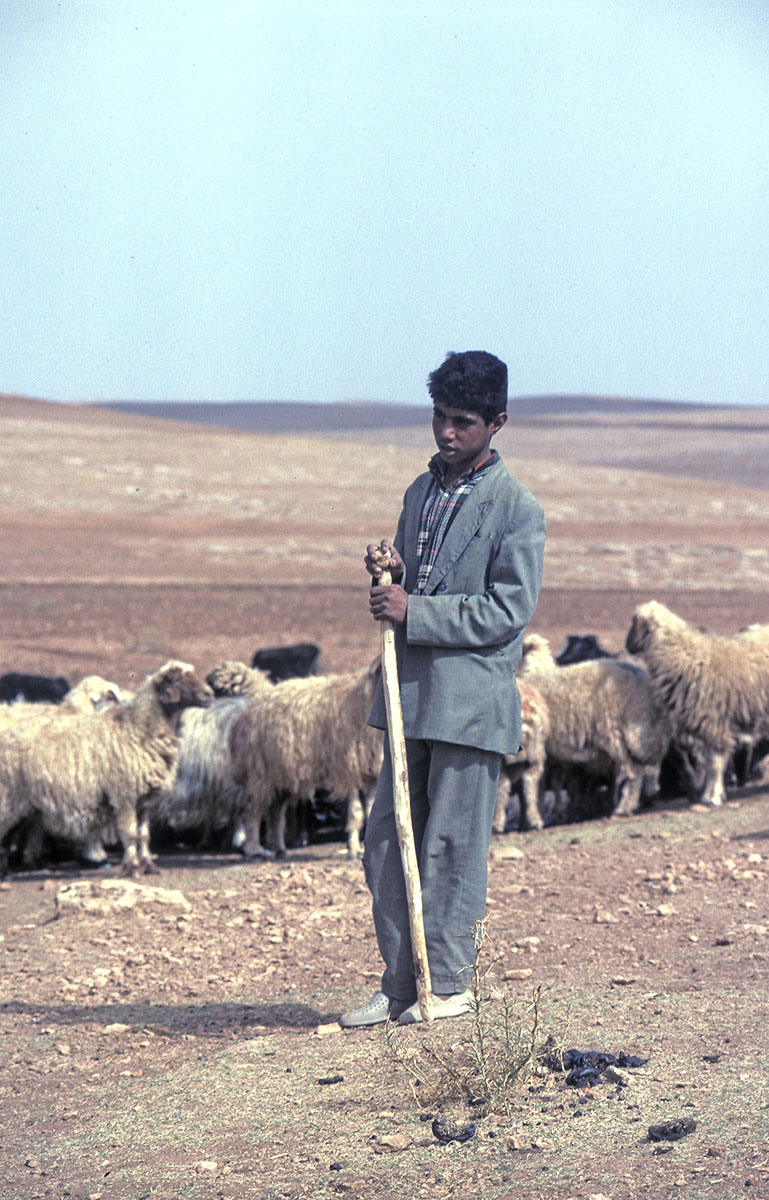 Urfa 1997 Desert tour 130.jpg