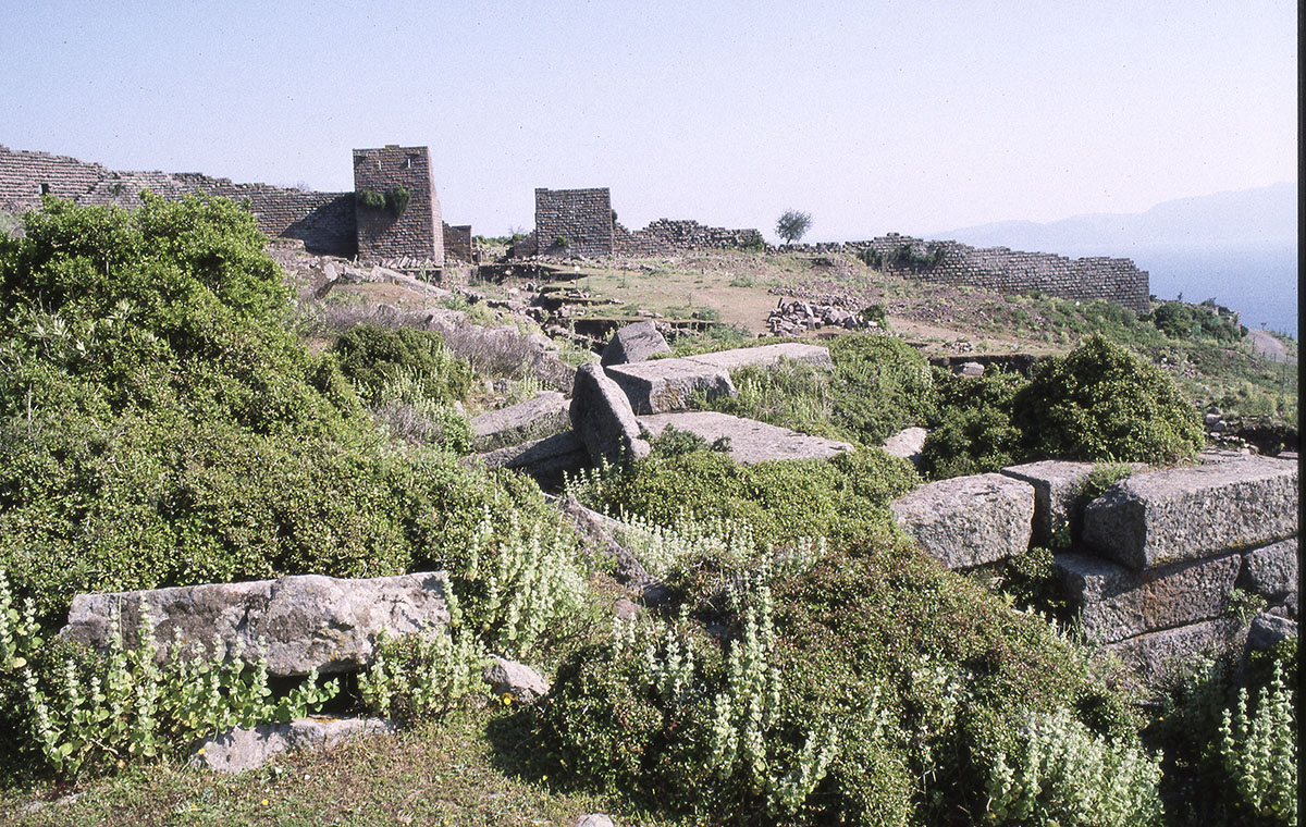 Assos 94 017.jpg