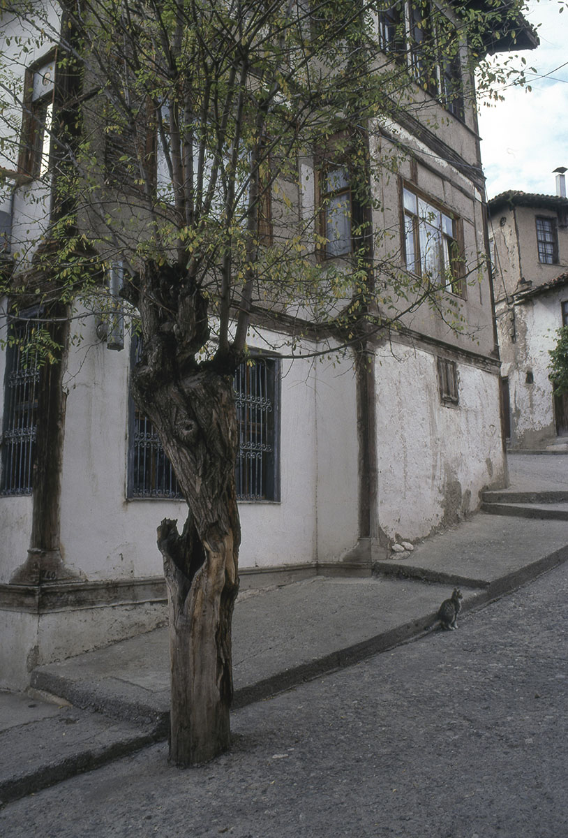 Zile  024.jpg