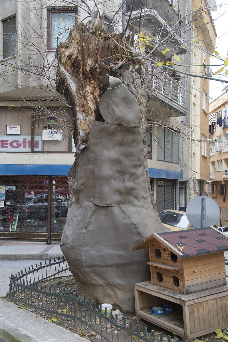 Bursa december 2018 9767.jpg