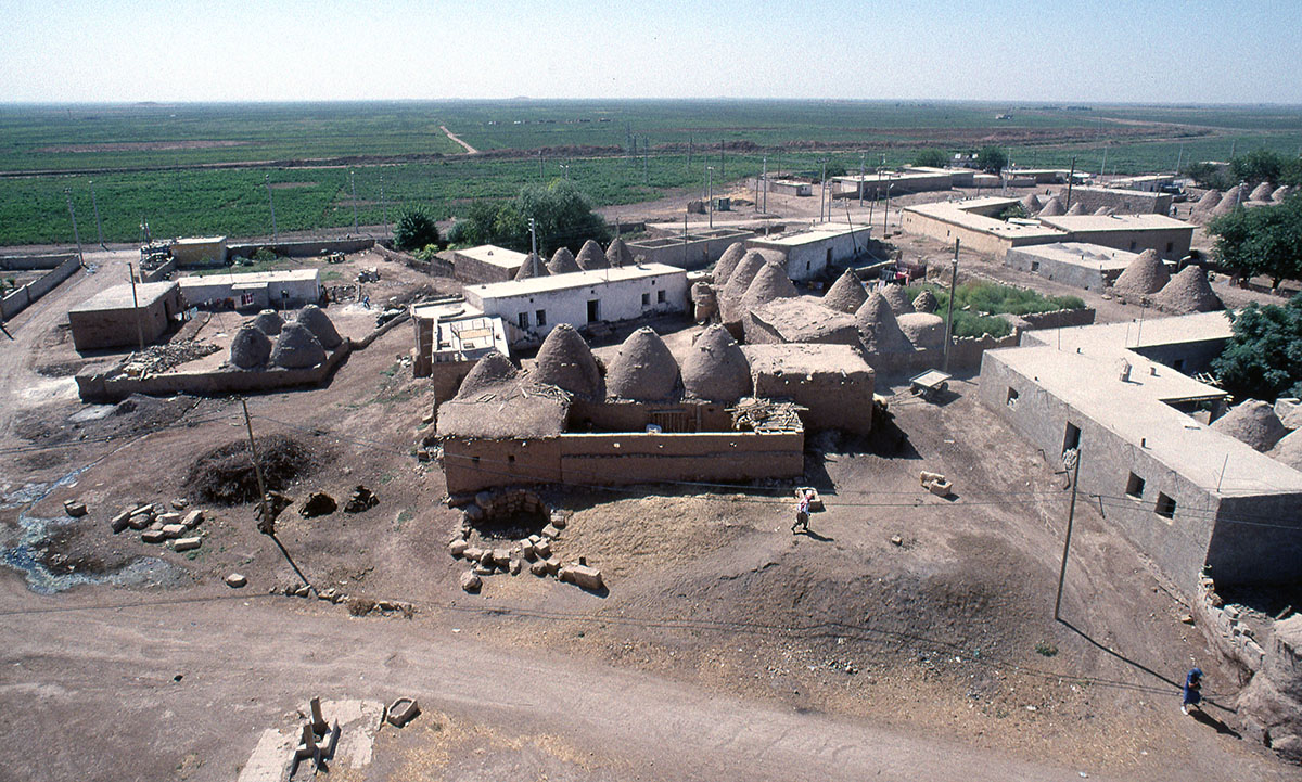 Harran ride 67