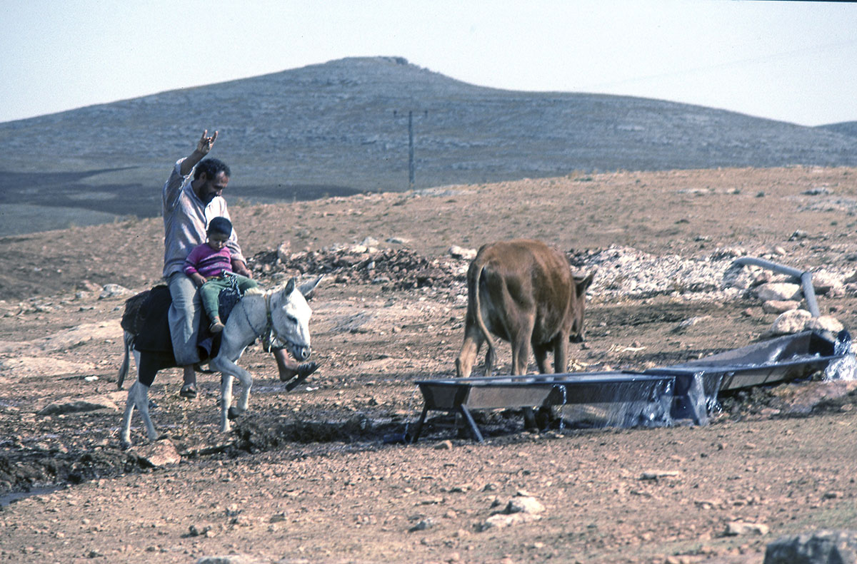 Harran ride 02