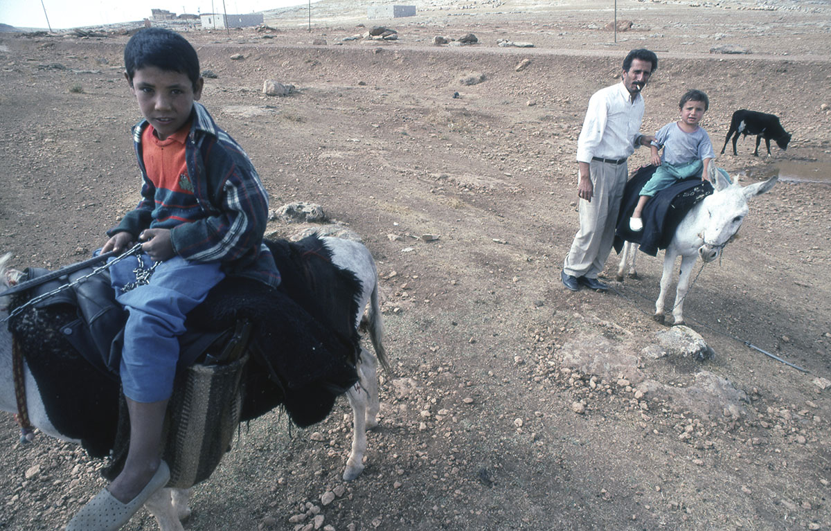 Harran ride 04