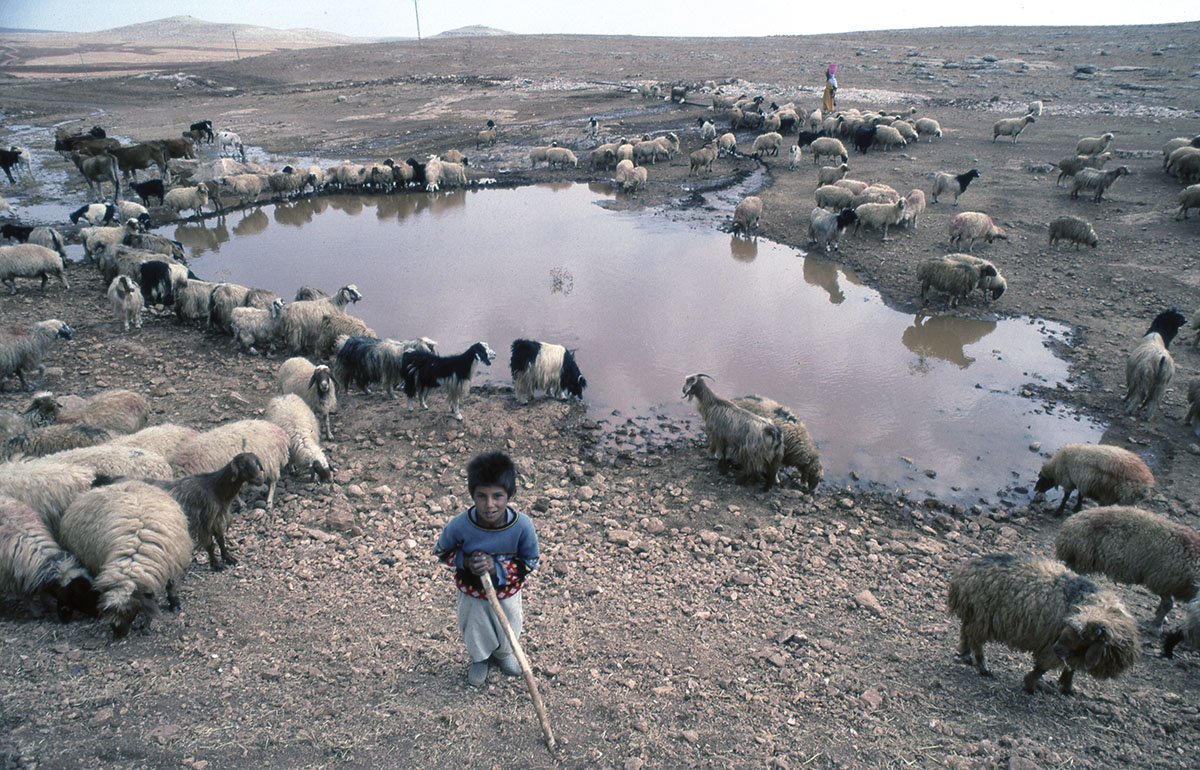 Harran ride 14