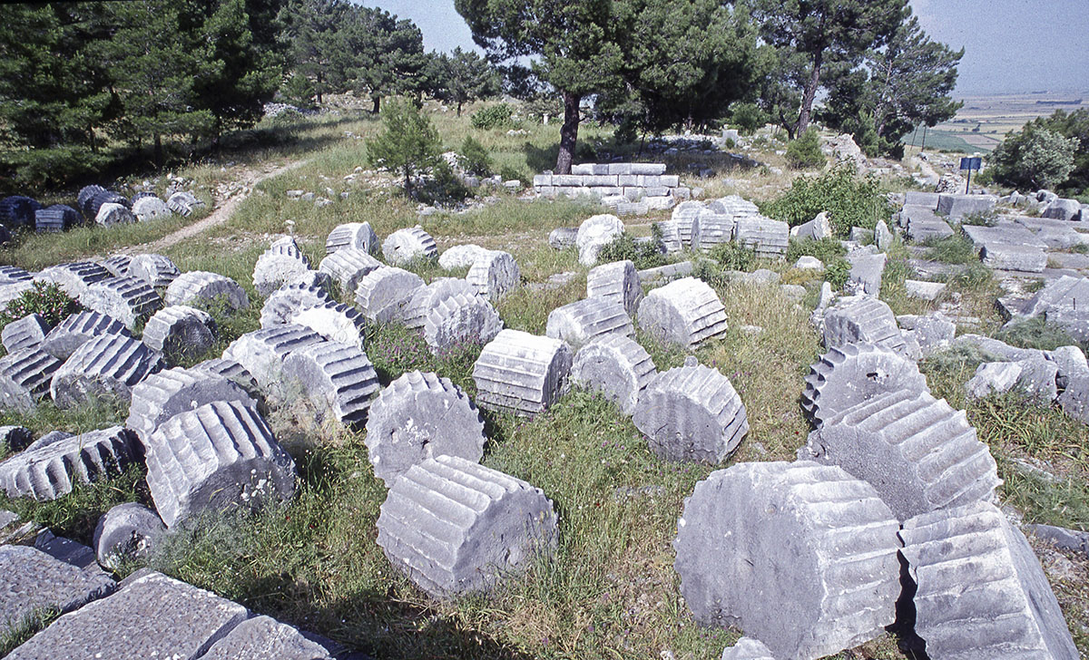 Priene toppled pillars