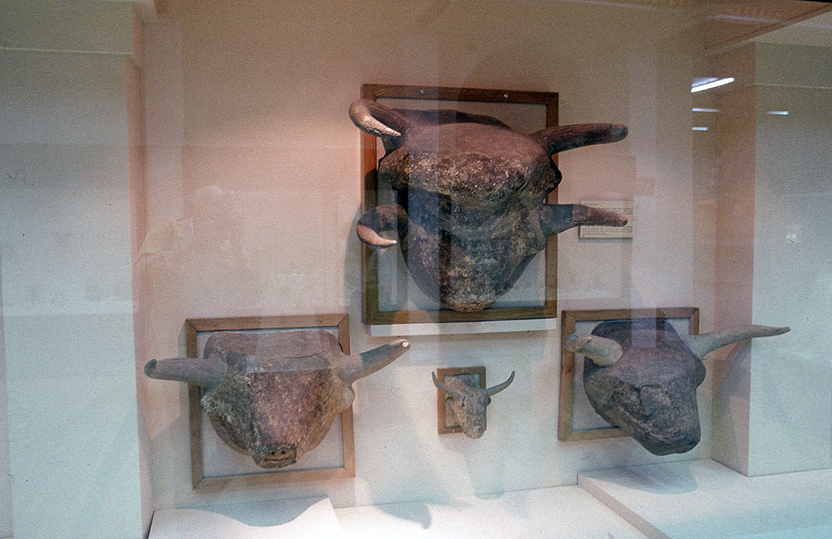 Model room