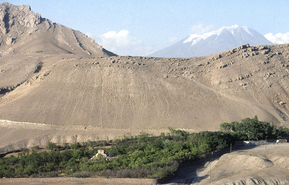 Ararat in the distance