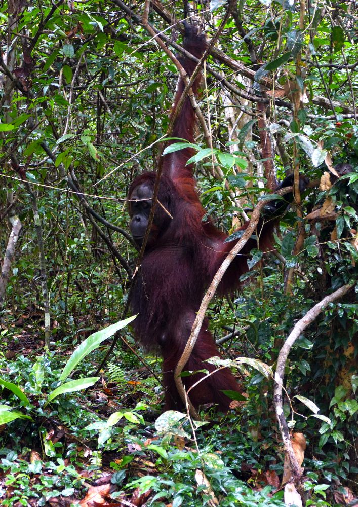 Our guide actually worked at this feeding station for several years, and knew Thomas