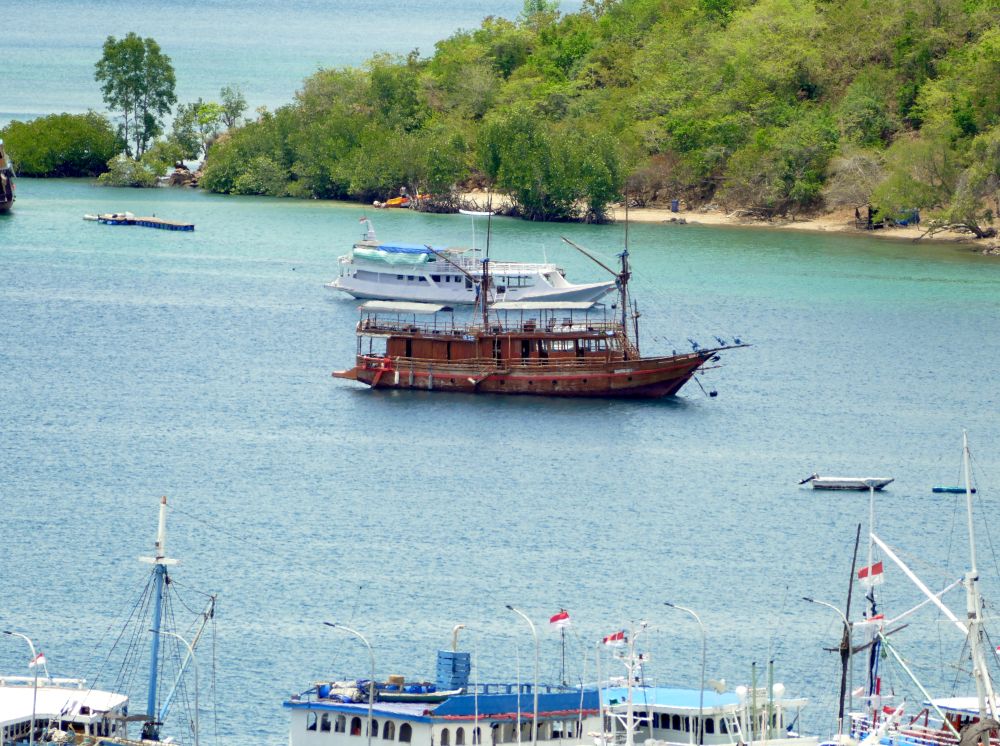 On our trip to Rinca Island, we took a larger slower boat for the trip