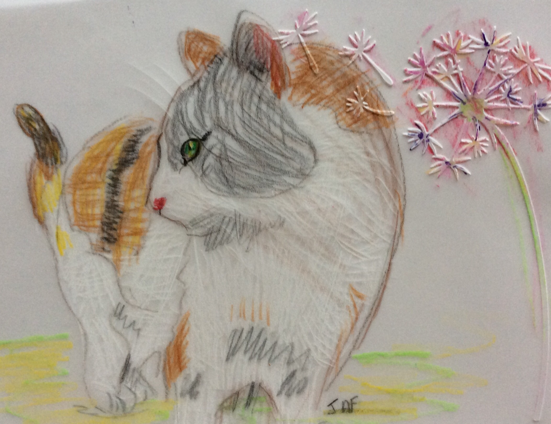 Cat pencil drawing on parchment