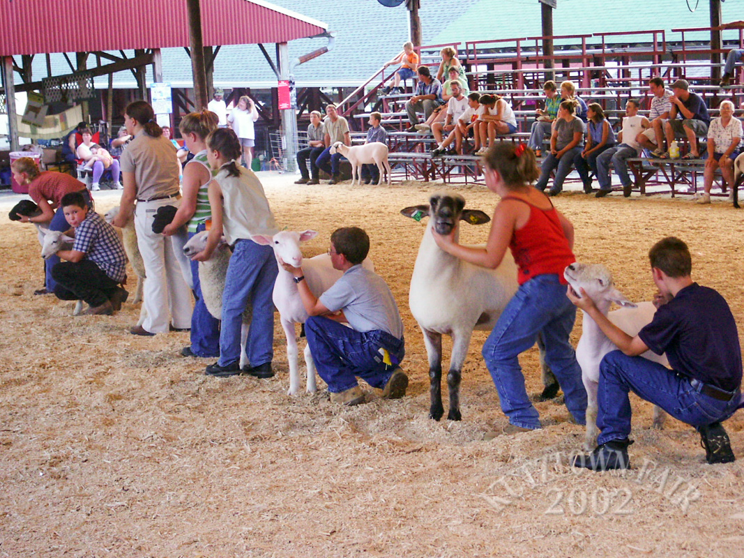 PICT2121.jpg