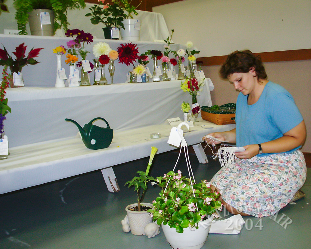 PICT7471.jpg