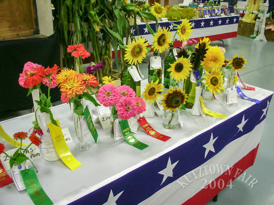 PICT7527.jpg