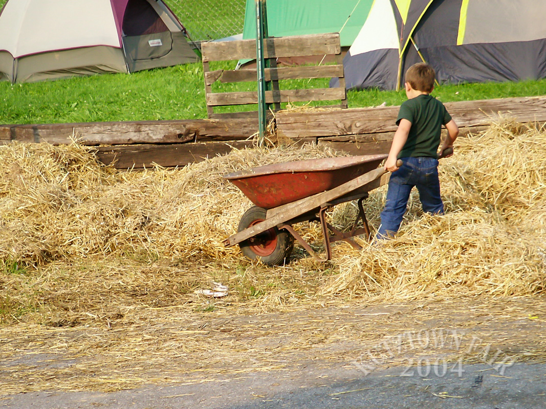 PICT7625.jpg