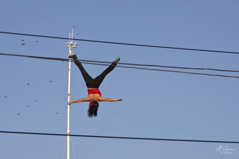 _MG_4003.jpg