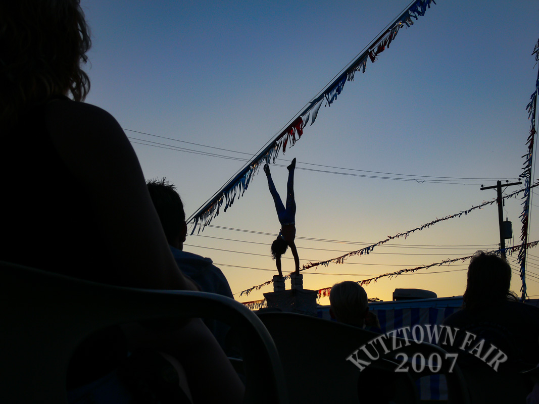 P1120553.jpg