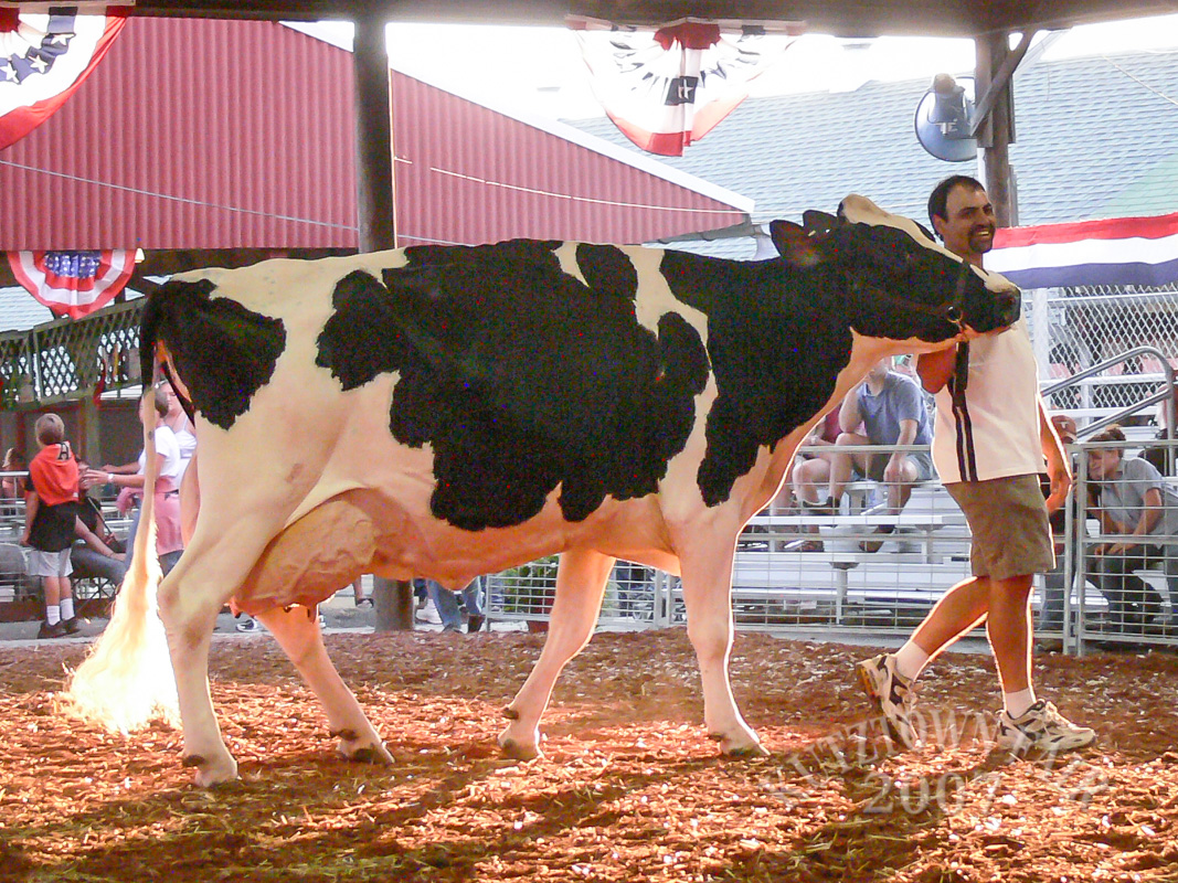 P1130432.jpg