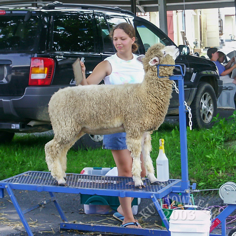 PICT4940.jpg