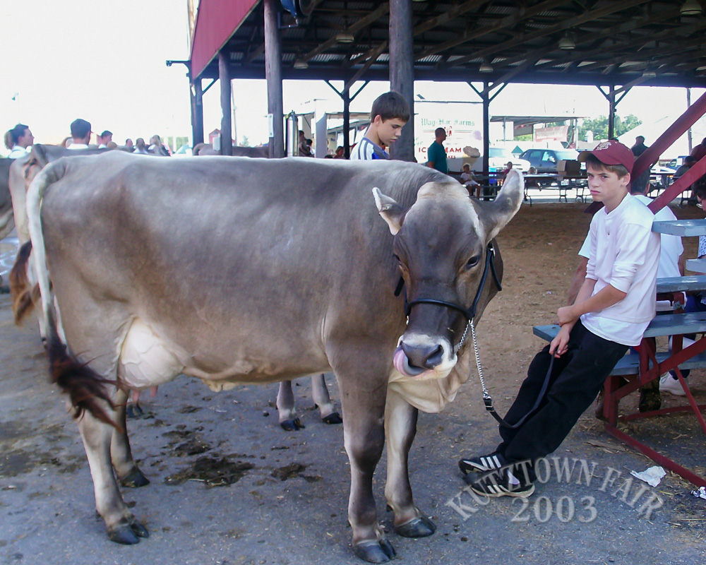 PICT5106.jpg
