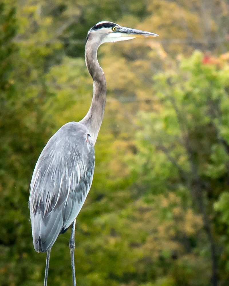 DSC03825.jpg