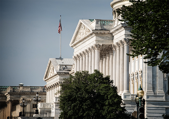 The Capital