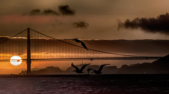 Another Golden Gate Sunset