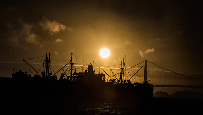 Harbor Sunset