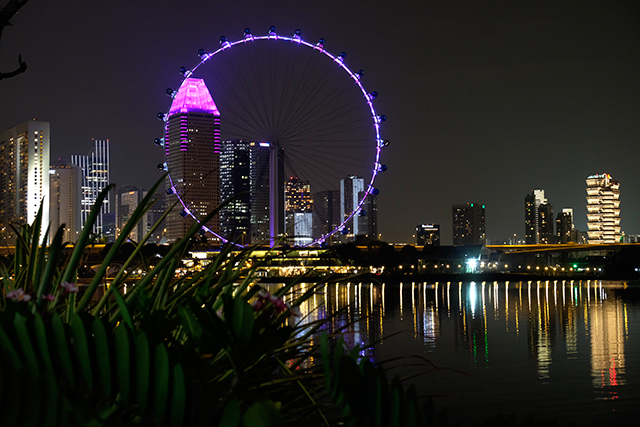 Singapore Flyer