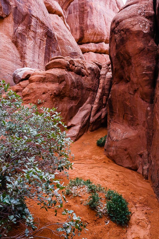 Sand Dune Arch Trail