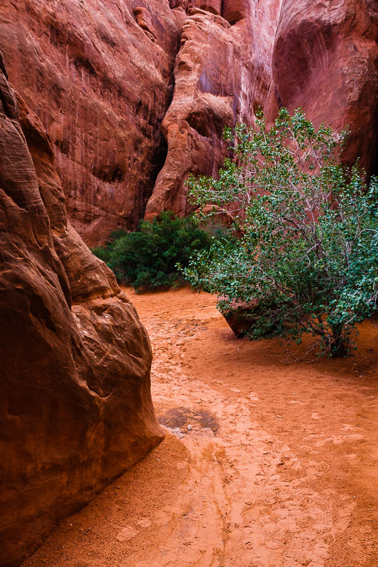 Sand Dune Arch Trail