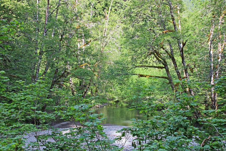 16 hidden pool
