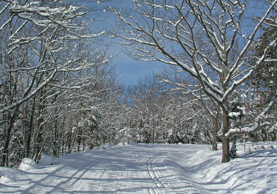 Witch Hole Pond Loop b 1-22-10-ed-pf.jpg