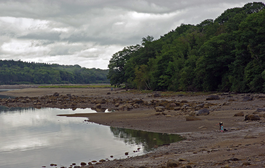 Sears Island  Low Tide 8-5-11-ed-pf 2.jpg