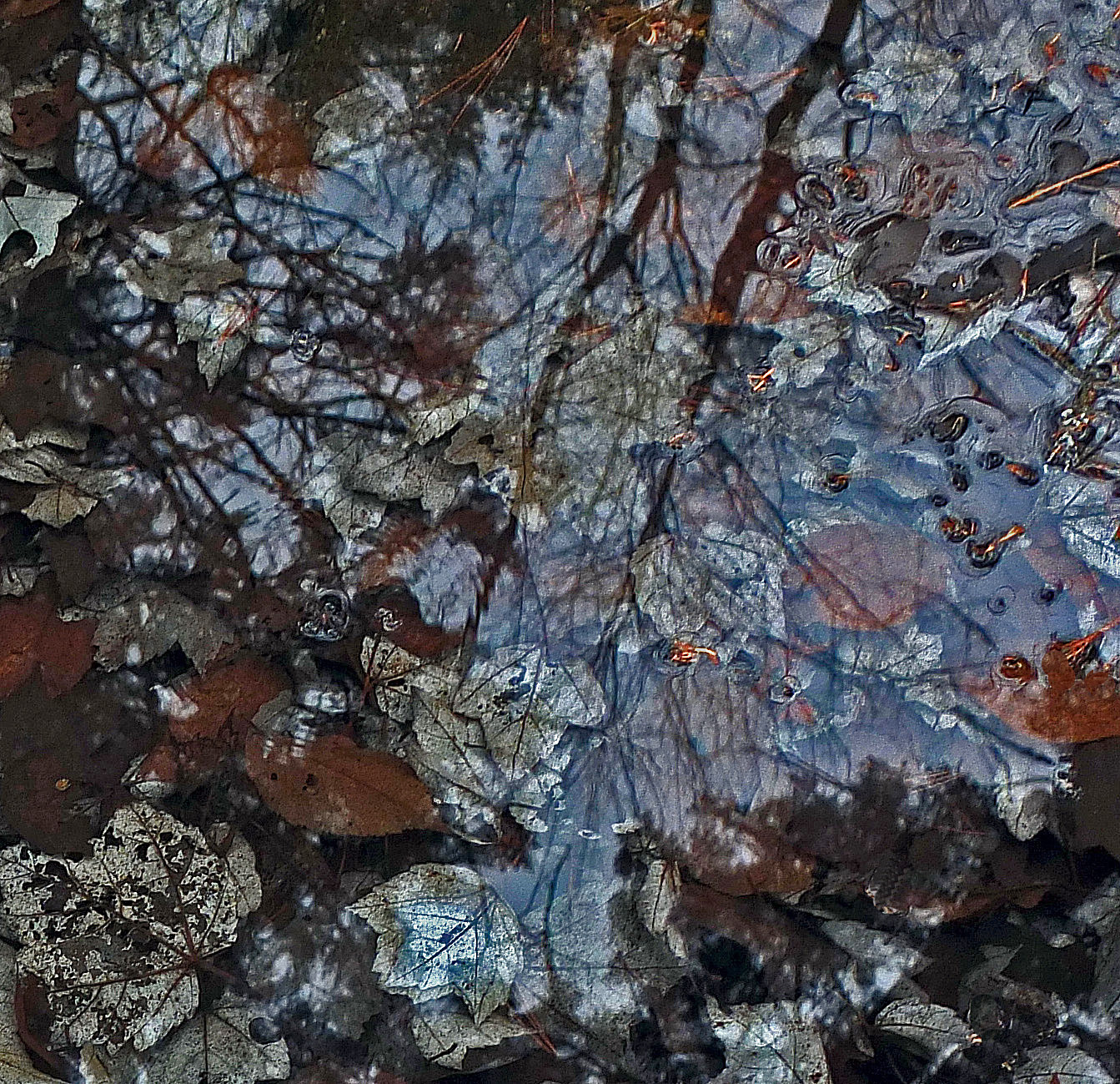 Reflection Eliot Mt. 11-15-13.JPG