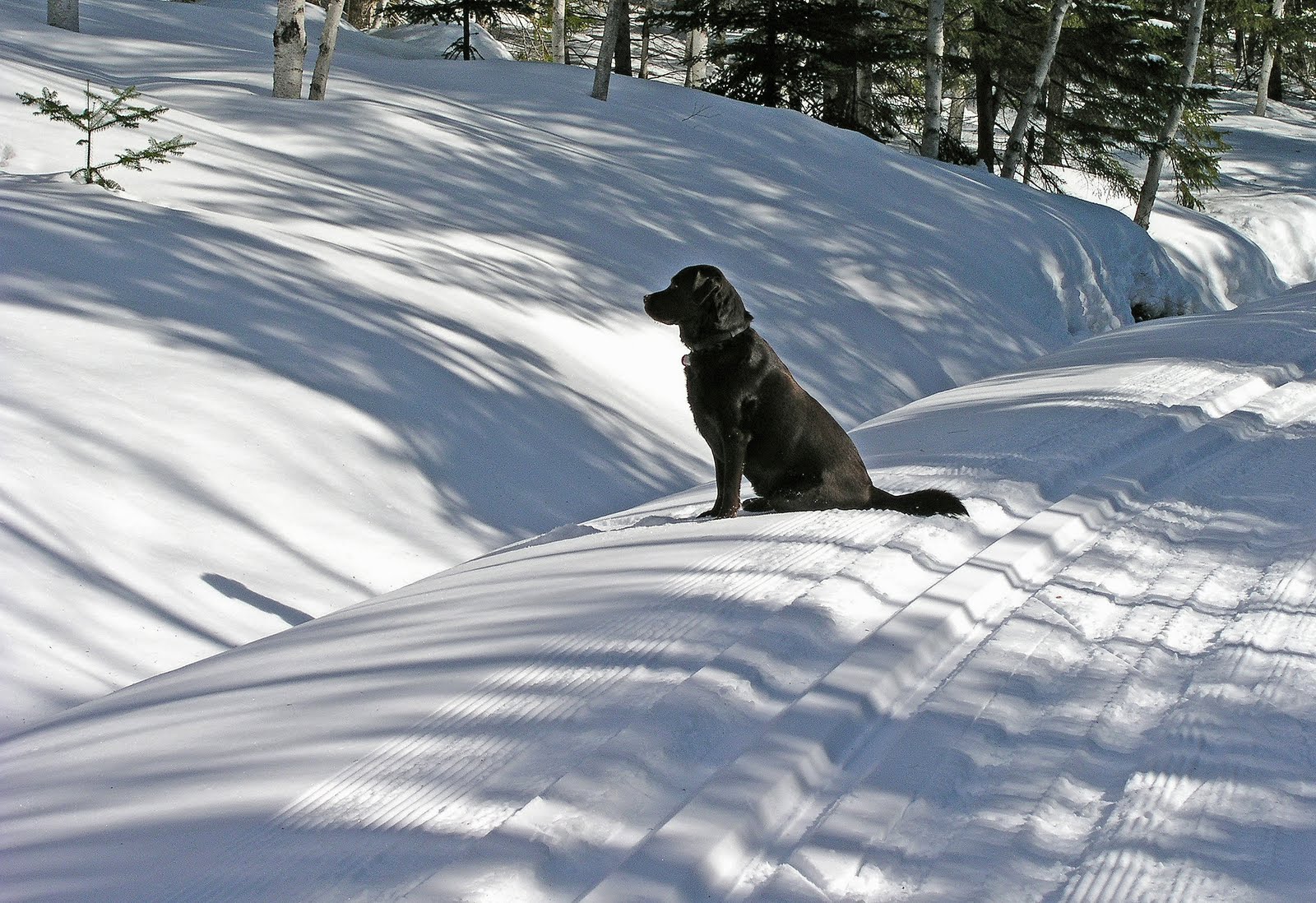 Kelley - Aunt Betty Pond Loop 2-11-11.jpg