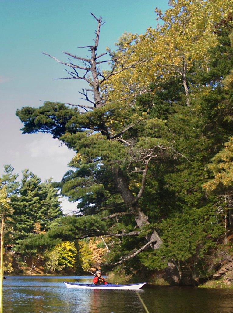 PA100056.jpg