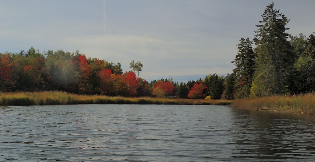 PA070017.jpg