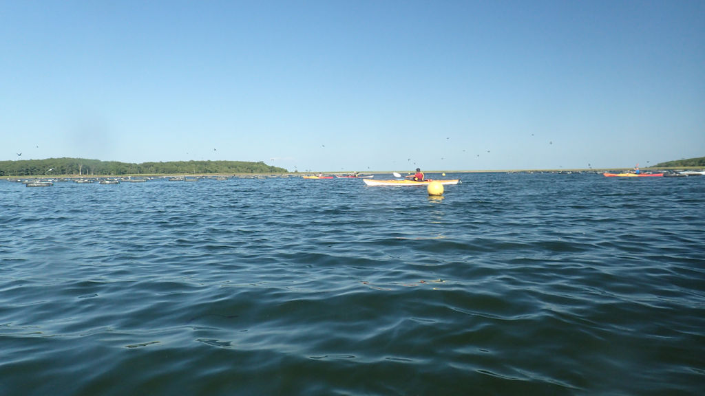 P9010042.jpg