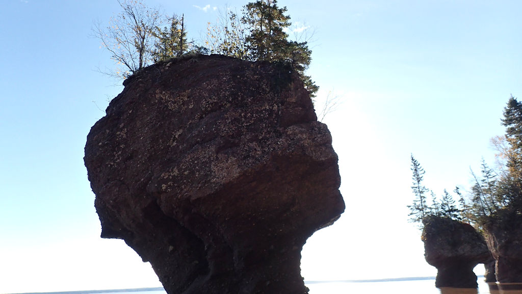 PA210015.jpg