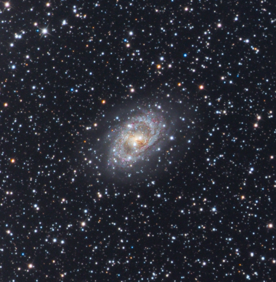 NGC 6300 - Close Up