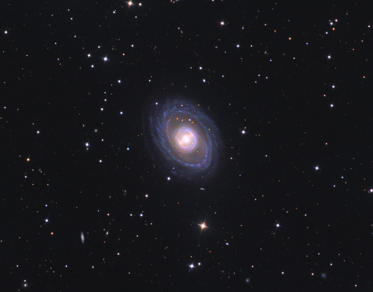 NGC 1398 The Dreamcatcher