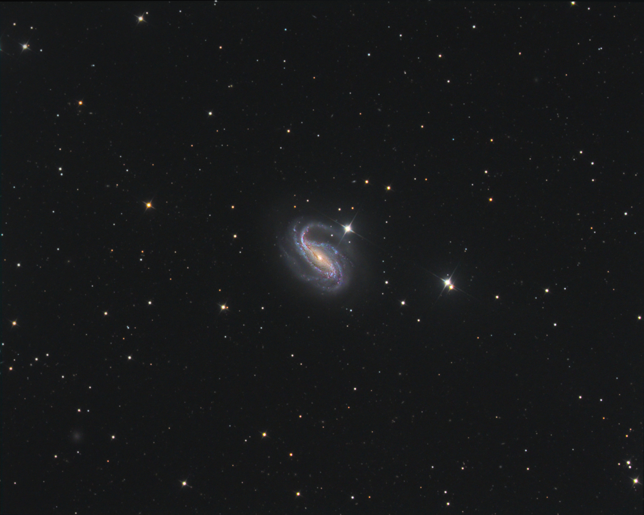 NGC 613 in Sculptor