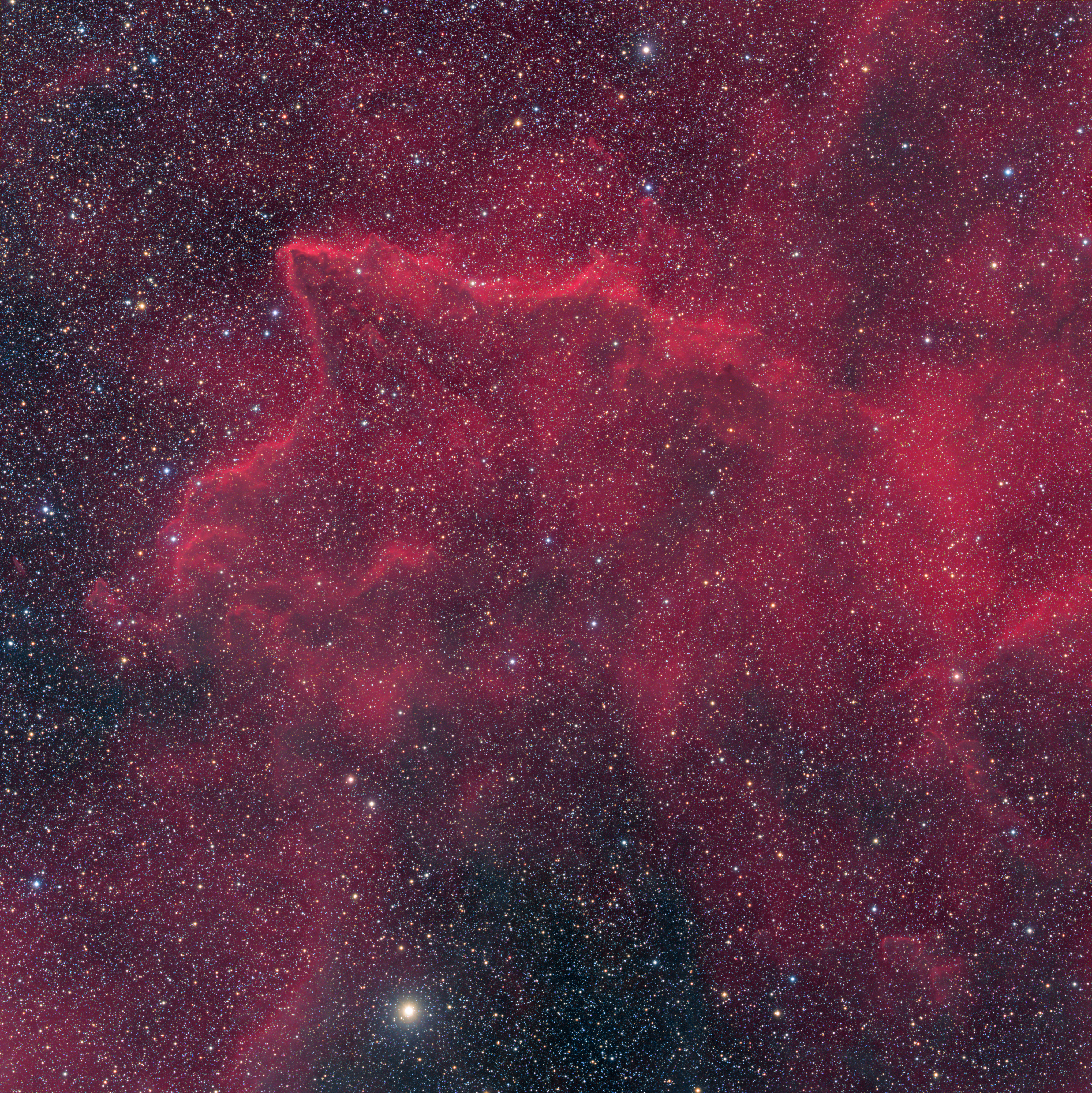 Gas and dust in Puppis (BBW56)