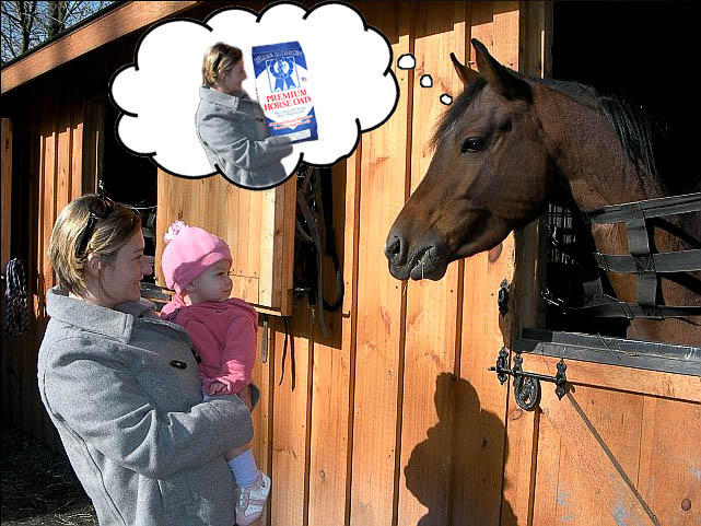 Horse sense