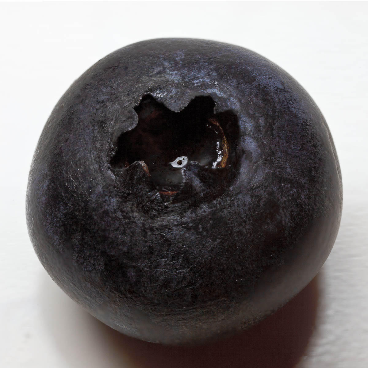 Blueberry
